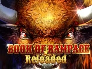 Book Of Rampage Reloaded game thumbnail
