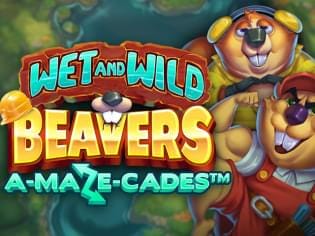 Wet and Wild Beavers game thumbnail